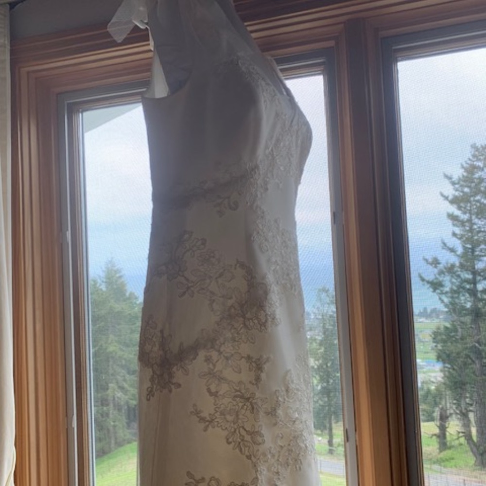 Vera Wang Wedding dress - Picture 16 of 16